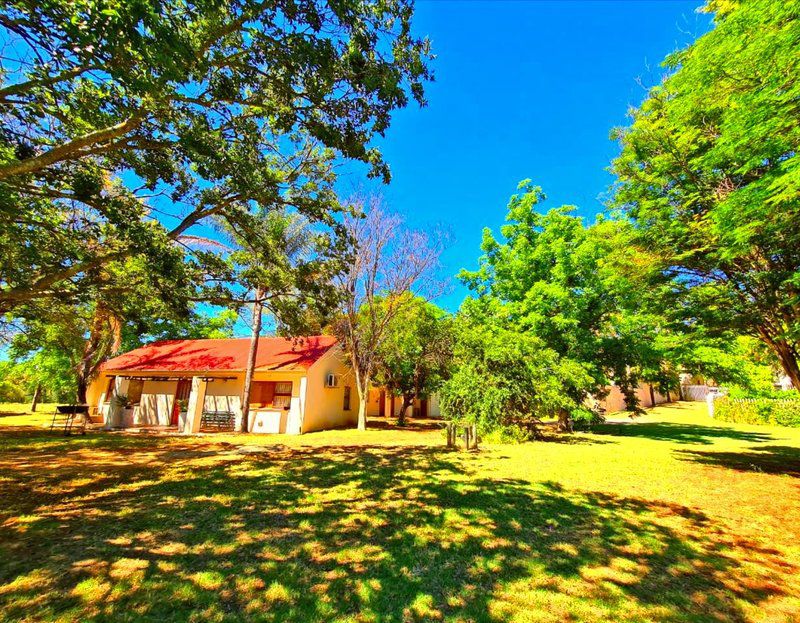 Protea Chalet Clanwilliam Western Cape South Africa Complementary Colors, Colorful