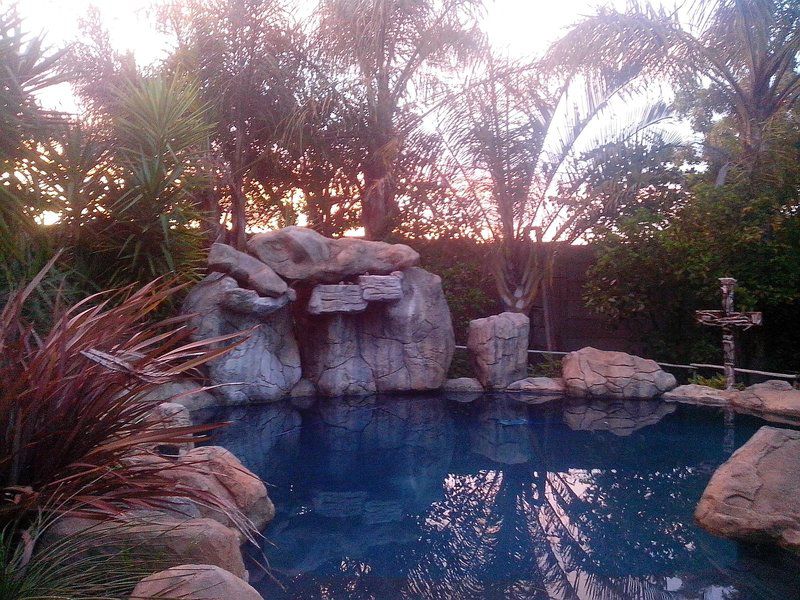 Protea Retreat Brackenfell Cape Town Western Cape South Africa Palm Tree, Plant, Nature, Wood, Swimming Pool