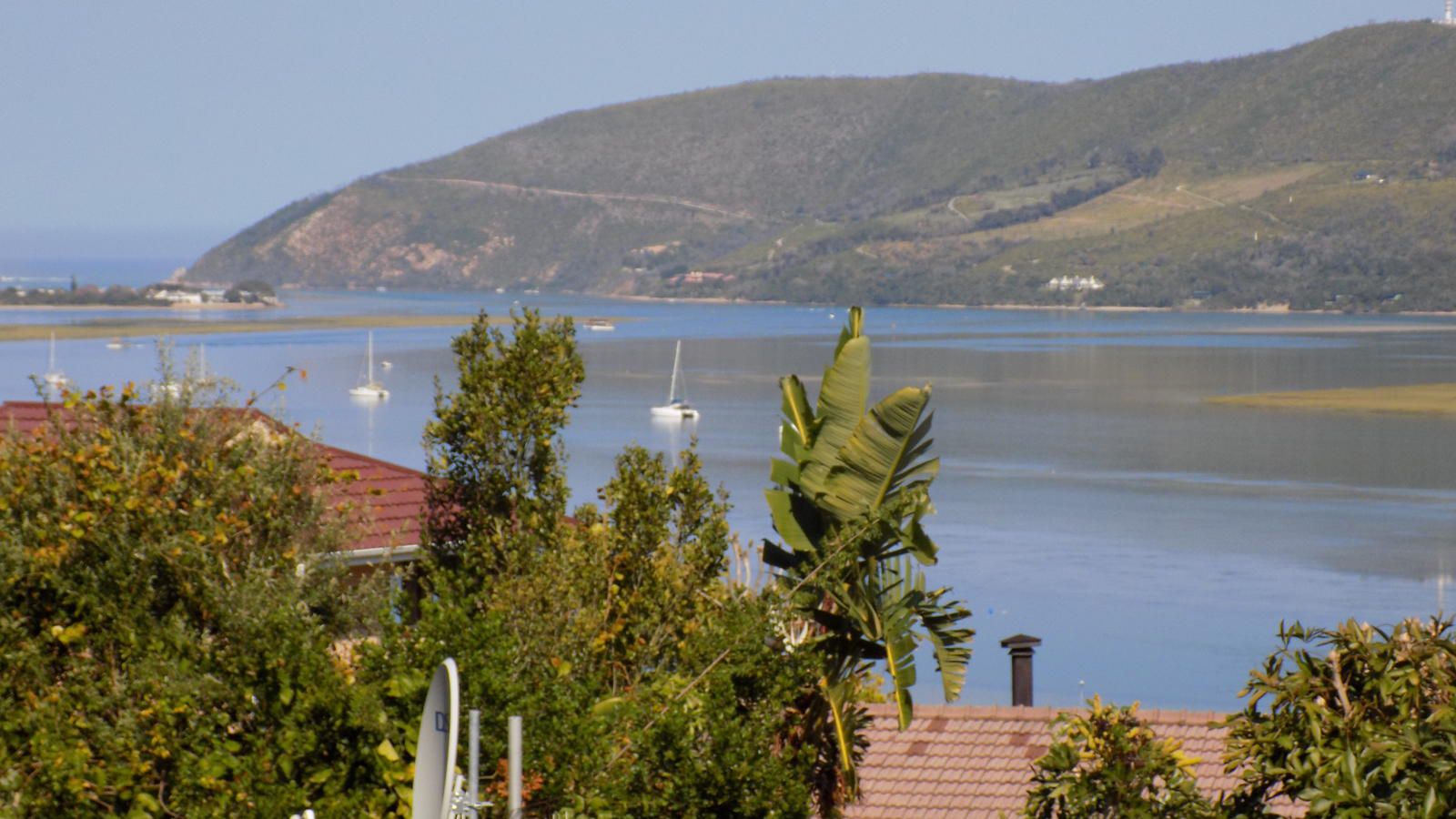 Protea Guest House Paradise Knysna Western Cape South Africa Complementary Colors, Palm Tree, Plant, Nature, Wood