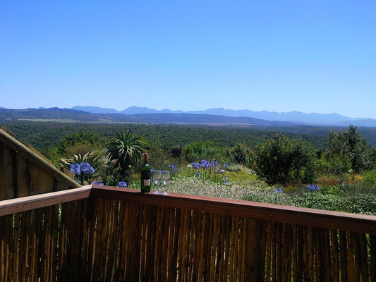 Protea Wilds Retreat Harkerville Plettenberg Bay Western Cape South Africa Plant, Nature