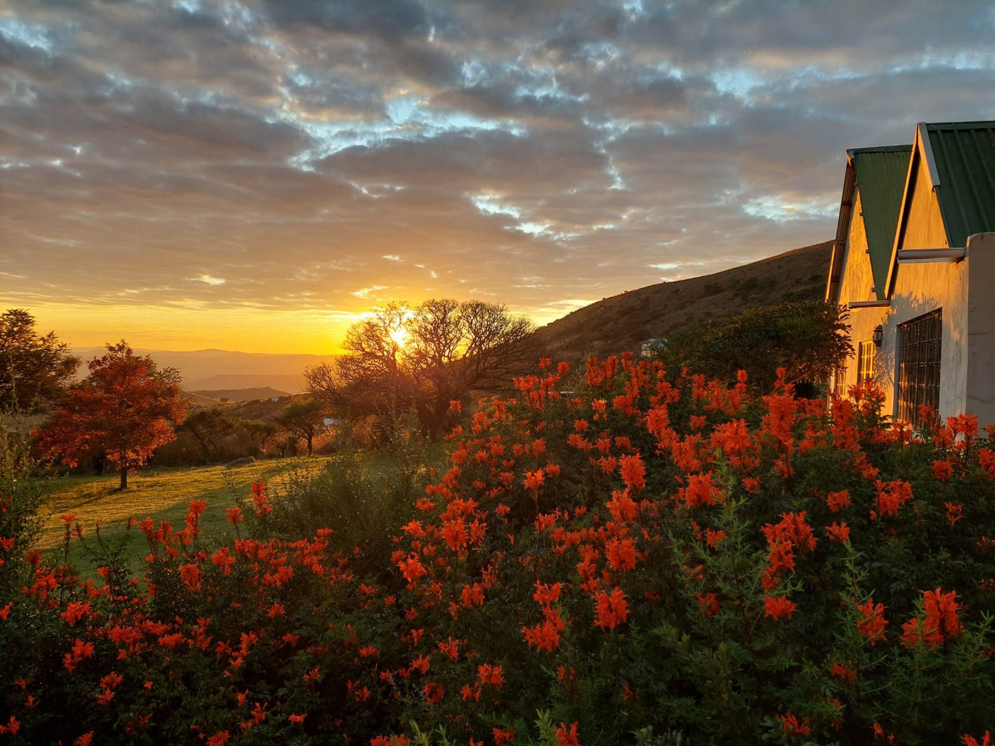 Proudfoot Holiday Farm Mooi River Kwazulu Natal South Africa Nature