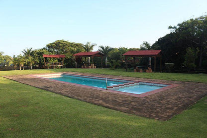 Providence 79 Ramsgate Beach Margate Kwazulu Natal South Africa Palm Tree, Plant, Nature, Wood, Swimming Pool