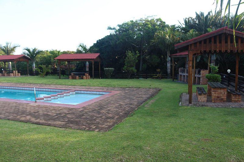 Providence 79 Ramsgate Beach Margate Kwazulu Natal South Africa Palm Tree, Plant, Nature, Wood, Swimming Pool