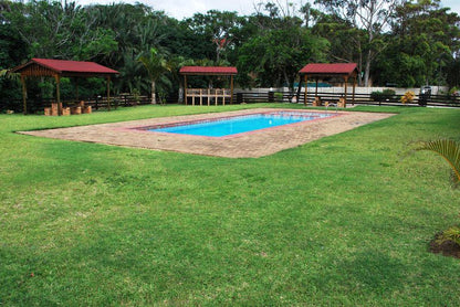 Providence 40 Ramsgate Beach Margate Kwazulu Natal South Africa Palm Tree, Plant, Nature, Wood, Swimming Pool