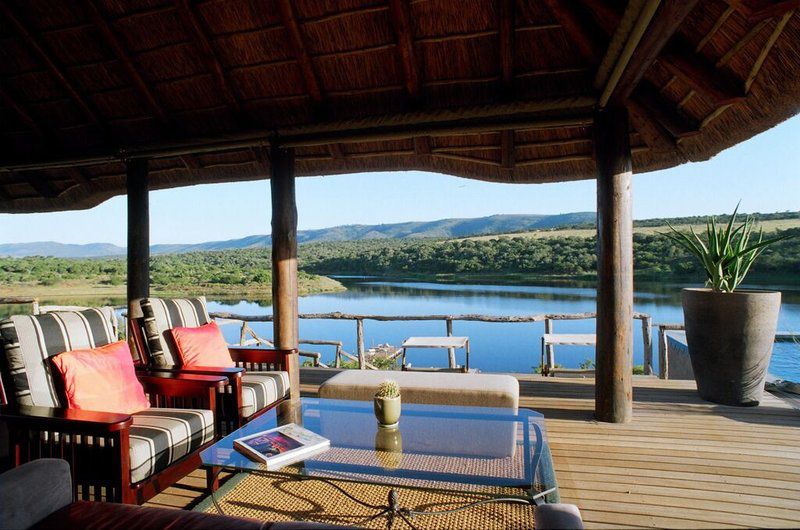 Pumba Private Game Reserve Grahamstown Eastern Cape South Africa 