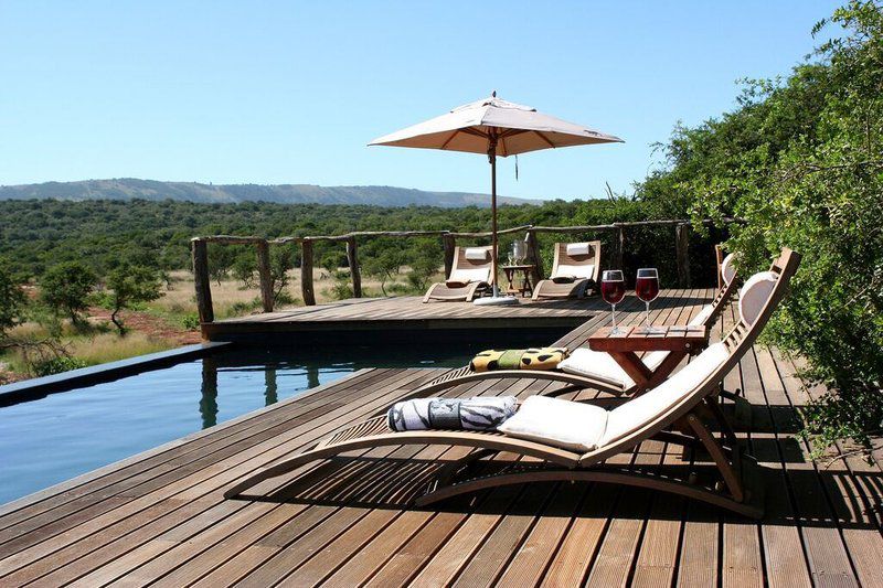 Pumba Private Game Reserve Grahamstown Eastern Cape South Africa Complementary Colors, Swimming Pool