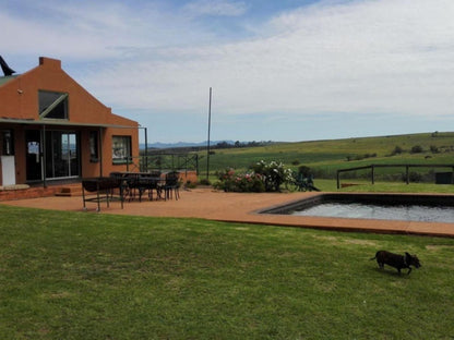 Pumula Guest Farm Fouriesburg Free State South Africa 