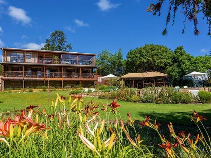 Pumula Lodge Knysna 4 Star Bandb Hunters Home Knysna Western Cape South Africa Complementary Colors, Colorful