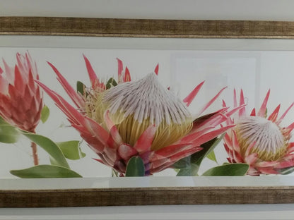 Pumula Lodge Knysna 4 Star Bandb Hunters Home Knysna Western Cape South Africa Flower, Plant, Nature