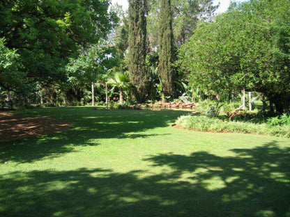 Palm Tree, Plant, Nature, Wood, Garden, Pumulani Lodge, Kameeldrift East, Pretoria (Tshwane)