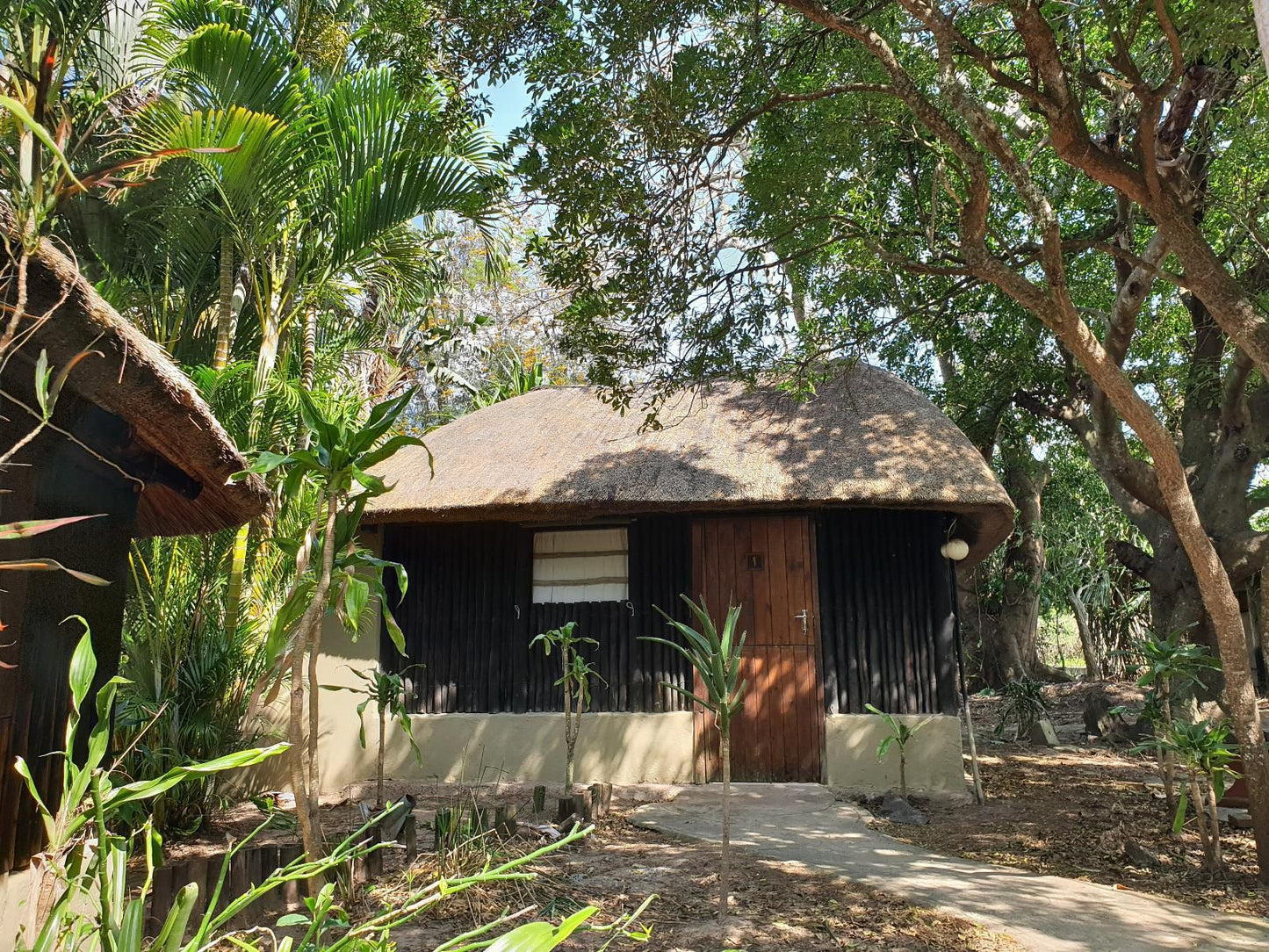 Pumusa Bushcamp Hluhluwe Kwazulu Natal South Africa Building, Architecture, Palm Tree, Plant, Nature, Wood