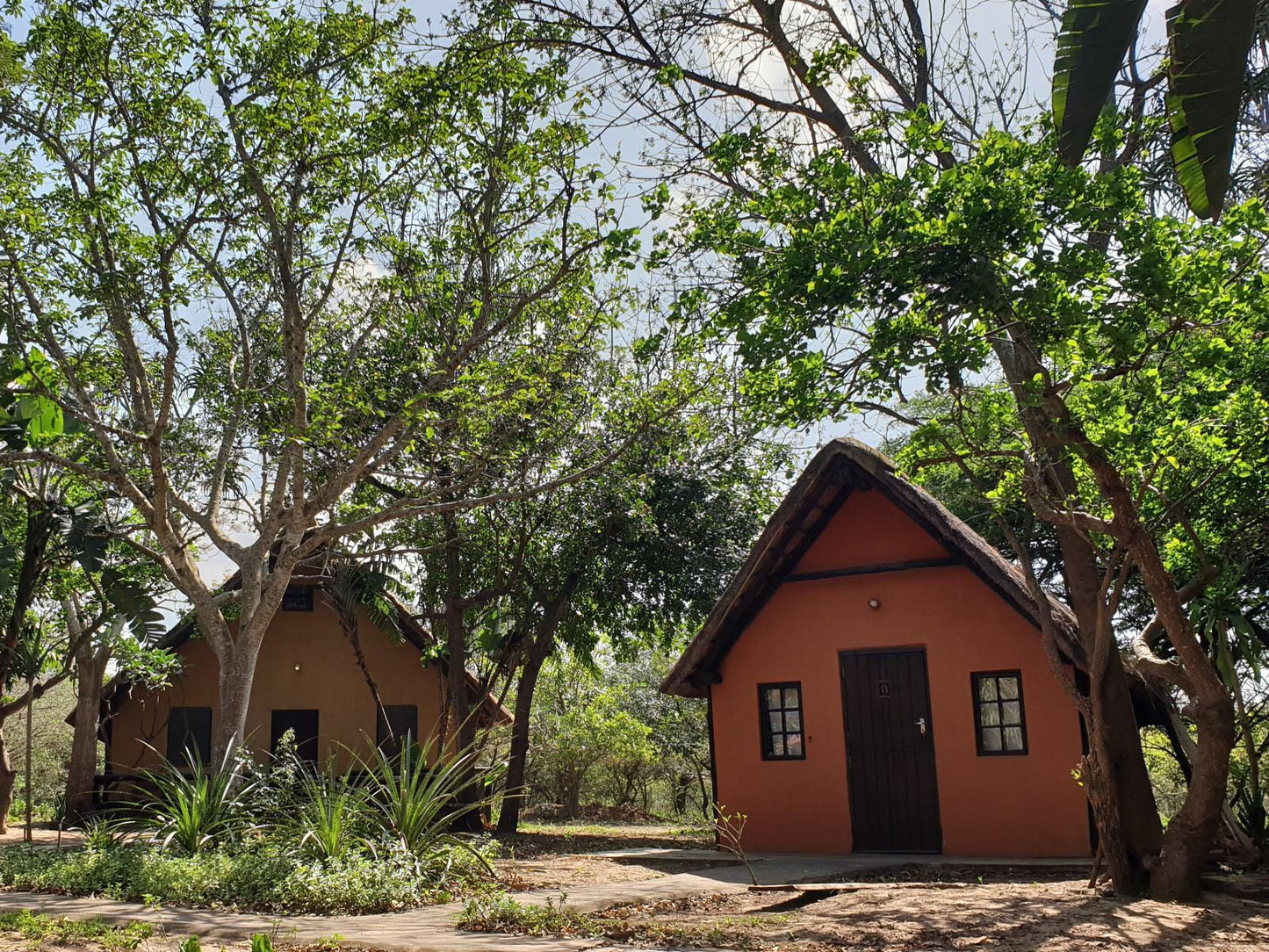 Pumusa Bushcamp Hluhluwe Kwazulu Natal South Africa Building, Architecture, House, Palm Tree, Plant, Nature, Wood