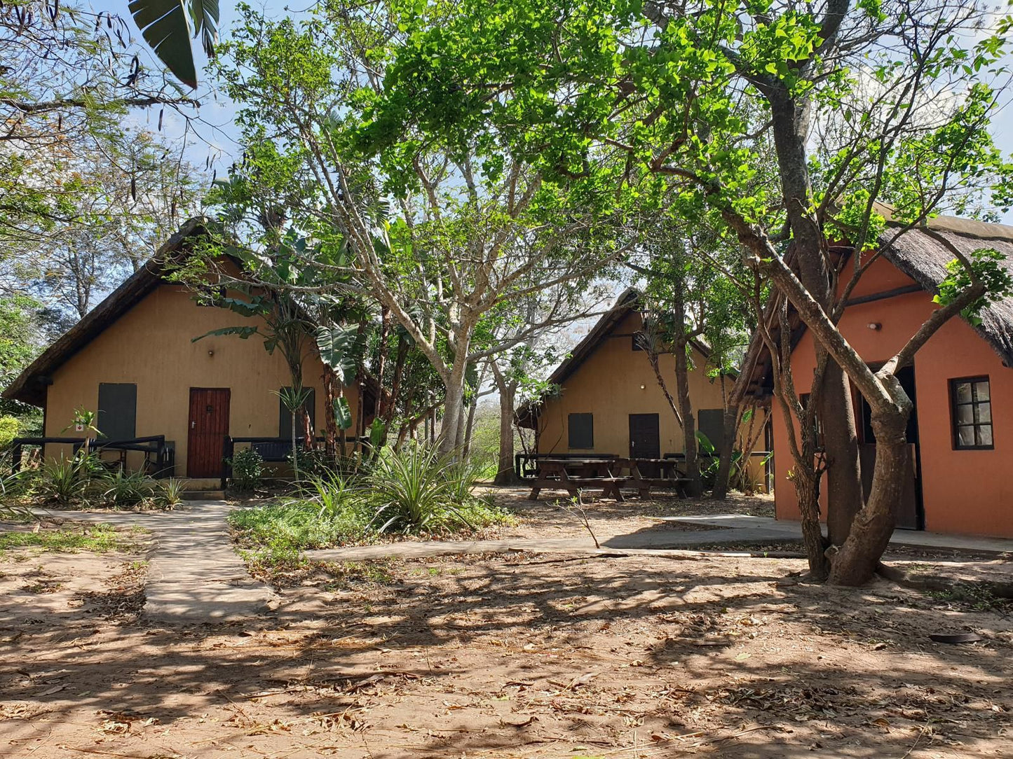 Pumusa Bushcamp Hluhluwe Kwazulu Natal South Africa Building, Architecture, House, Palm Tree, Plant, Nature, Wood