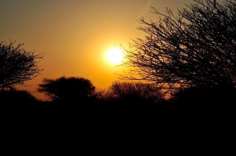 Pumzika Game Farm And Eco Estate Thabazimbi Limpopo Province South Africa Silhouette, Sky, Nature, Sunset