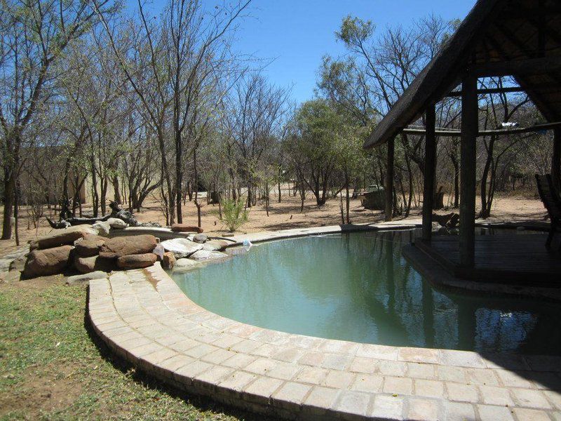 Pumzika Game Farm And Eco Estate Thabazimbi Limpopo Province South Africa Swimming Pool