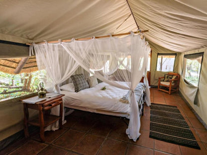 Pungwe Bush Camp Manyeleti Reserve Mpumalanga South Africa Tent, Architecture, Bedroom