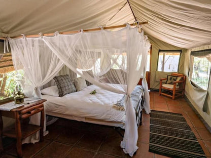 Pungwe Bush Camp Manyeleti Reserve Mpumalanga South Africa Tent, Architecture, Bedroom