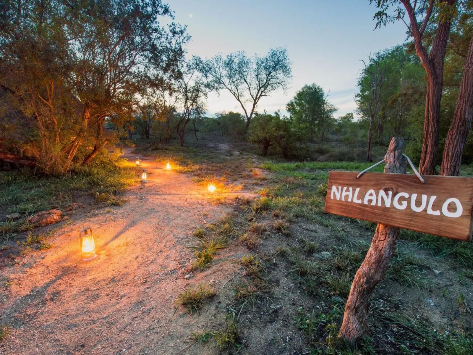 Pungwe Bush Camp Manyeleti Reserve Mpumalanga South Africa 