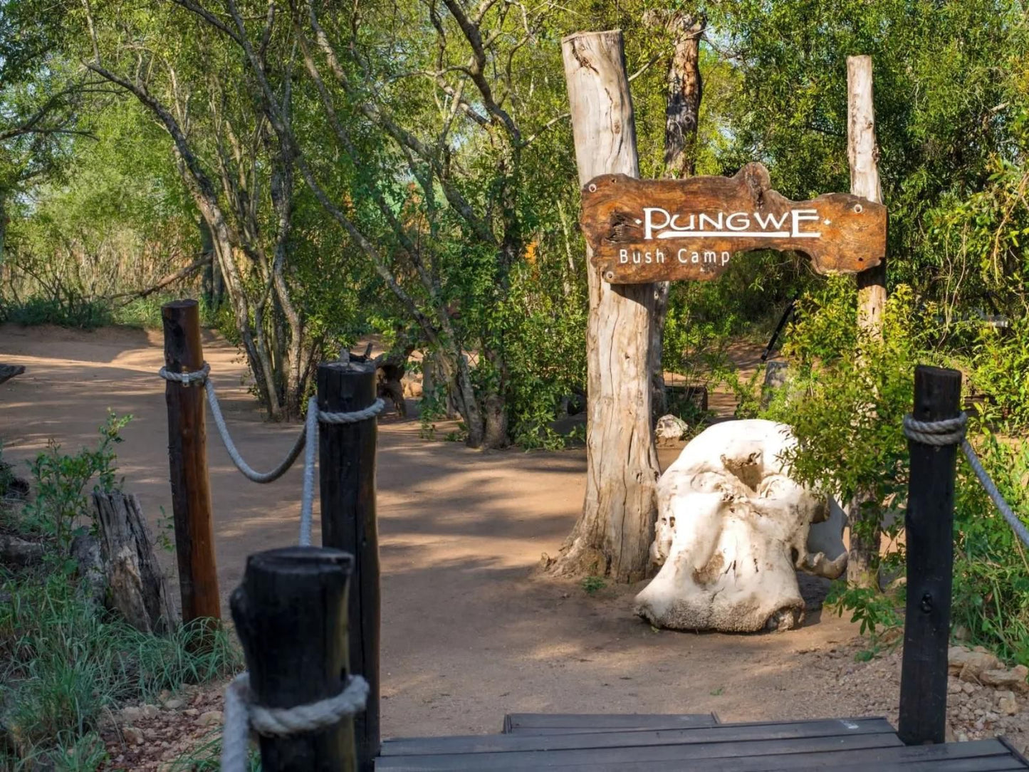 Pungwe Bush Camp Manyeleti Reserve Mpumalanga South Africa 