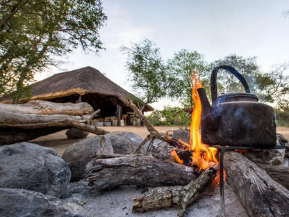 Pungwe Bush Camp Manyeleti Reserve Mpumalanga South Africa 