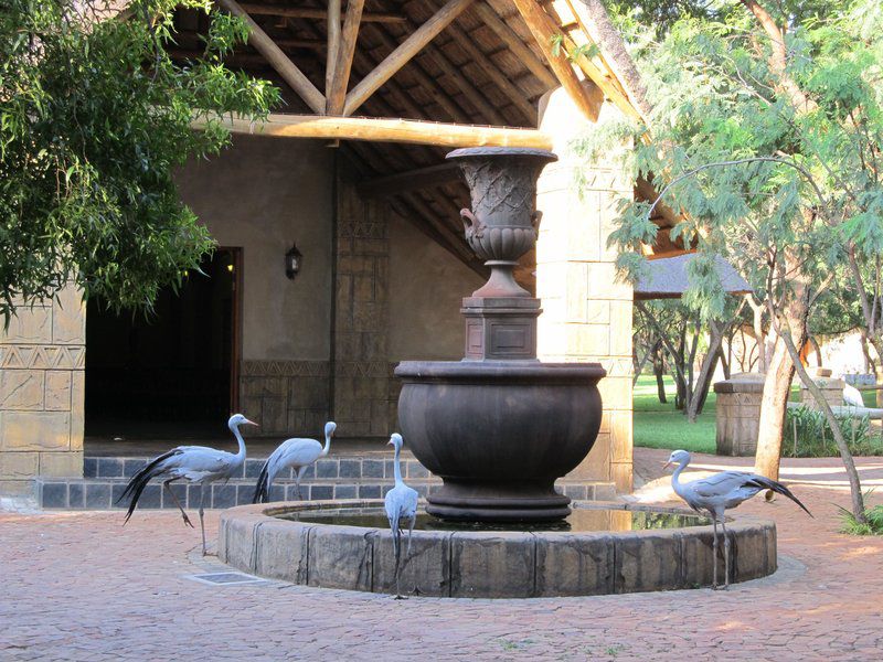 Pure Joy Lodge Kameeldrift East Pretoria Tshwane Gauteng South Africa 