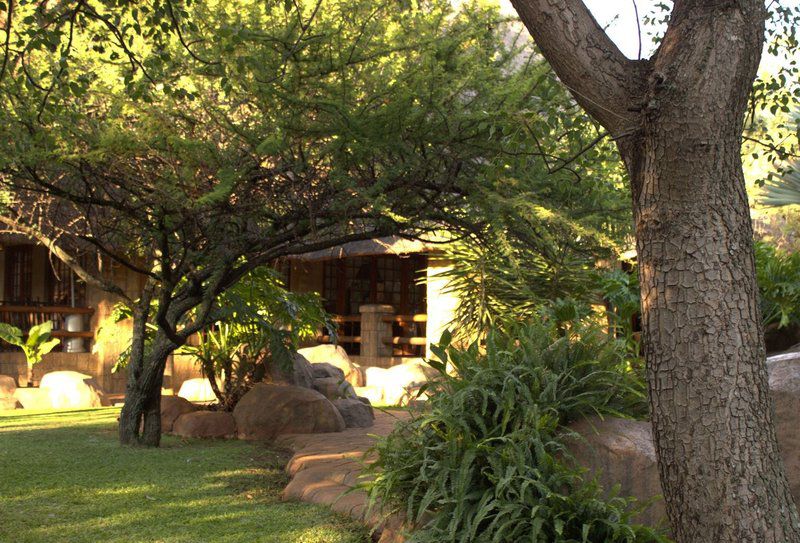 Pure Joy Lodge Kameeldrift East Pretoria Tshwane Gauteng South Africa Plant, Nature