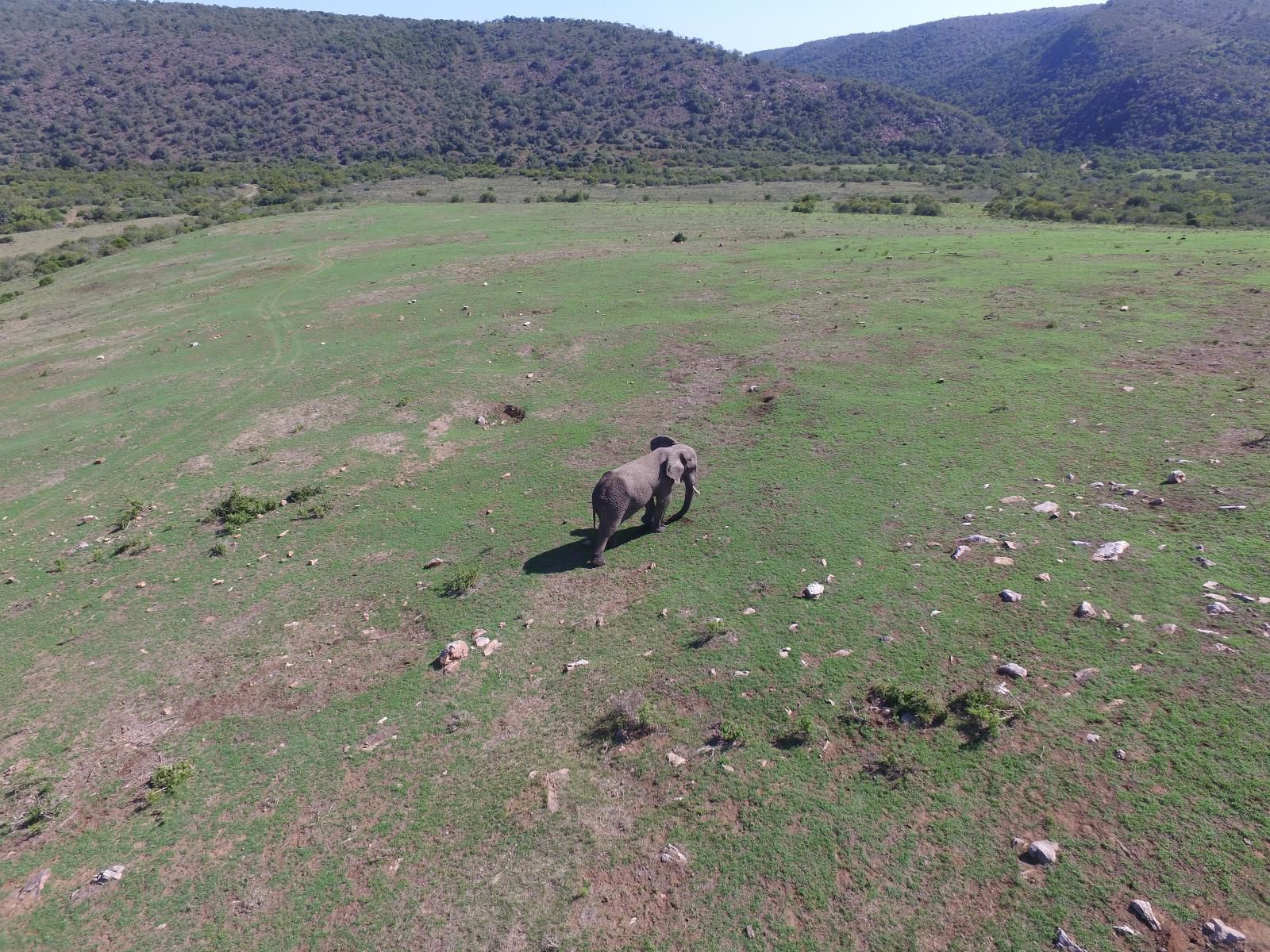 Pure Nature Familodge Paterson Eastern Cape South Africa Unsaturated, Desert, Nature, Sand