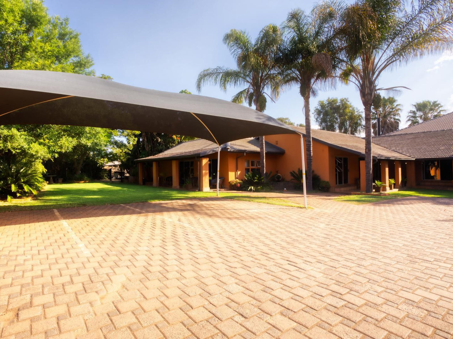 Purple Gecko Guest House, House, Building, Architecture, Palm Tree, Plant, Nature, Wood