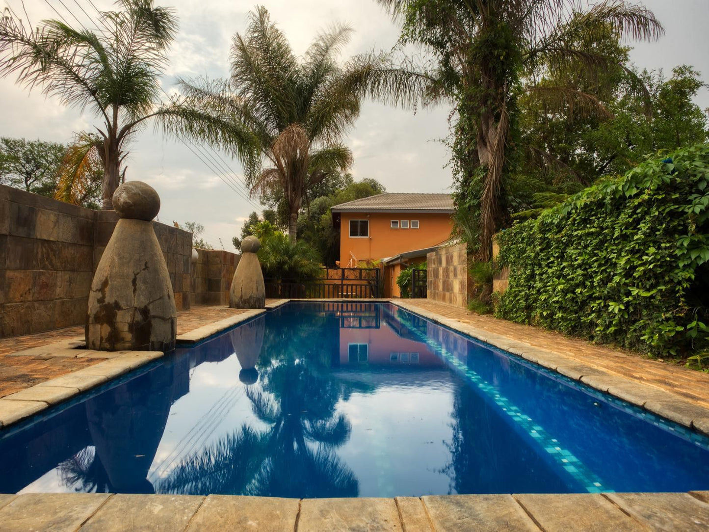 Purple Gecko Guest House, Palm Tree, Plant, Nature, Wood, Swimming Pool