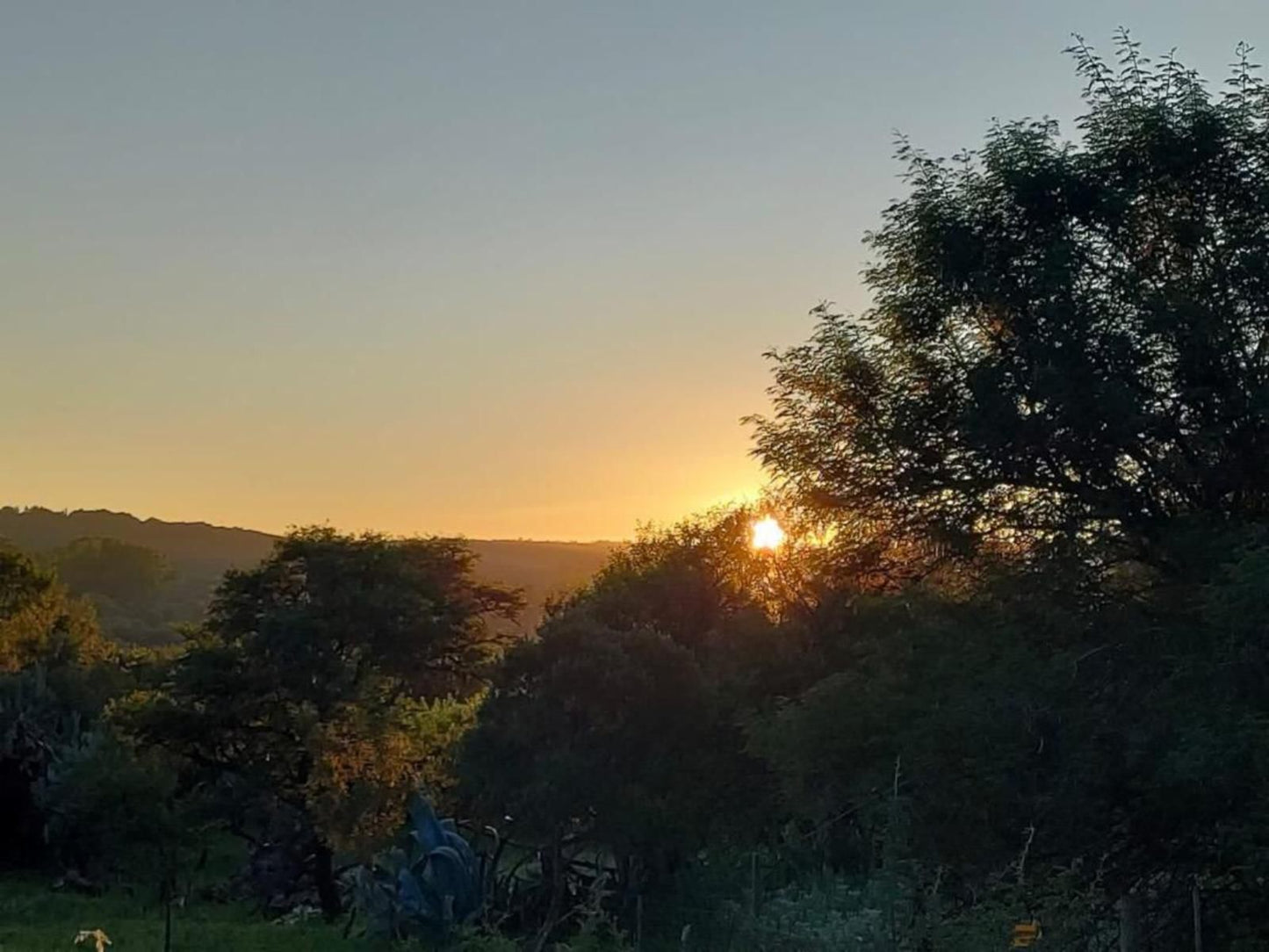 Puschka Farm Magaliesburg Gauteng South Africa Sky, Nature, Tree, Plant, Wood, Sunset