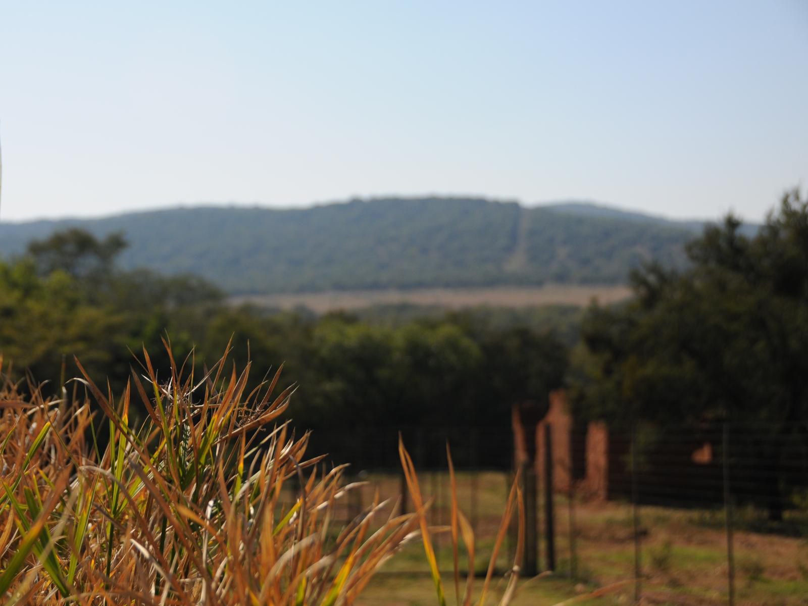 Puschka Farm Magaliesburg Gauteng South Africa Field, Nature, Agriculture