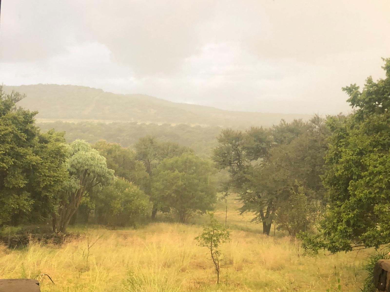 Puschka Farm Magaliesburg Gauteng South Africa Sepia Tones, Forest, Nature, Plant, Tree, Wood, Highland