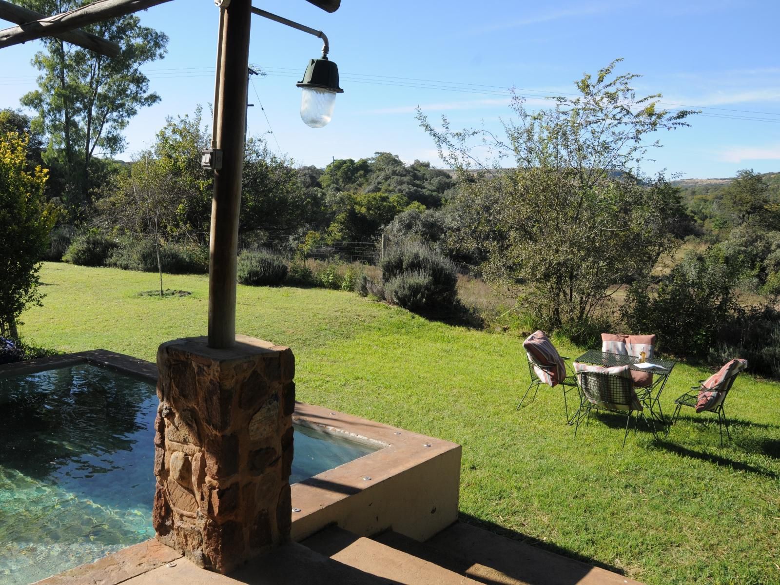 Puschka Farm Magaliesburg Gauteng South Africa Complementary Colors, Palm Tree, Plant, Nature, Wood