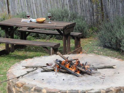 Puschka Farm Magaliesburg Gauteng South Africa Unsaturated, Fire, Nature