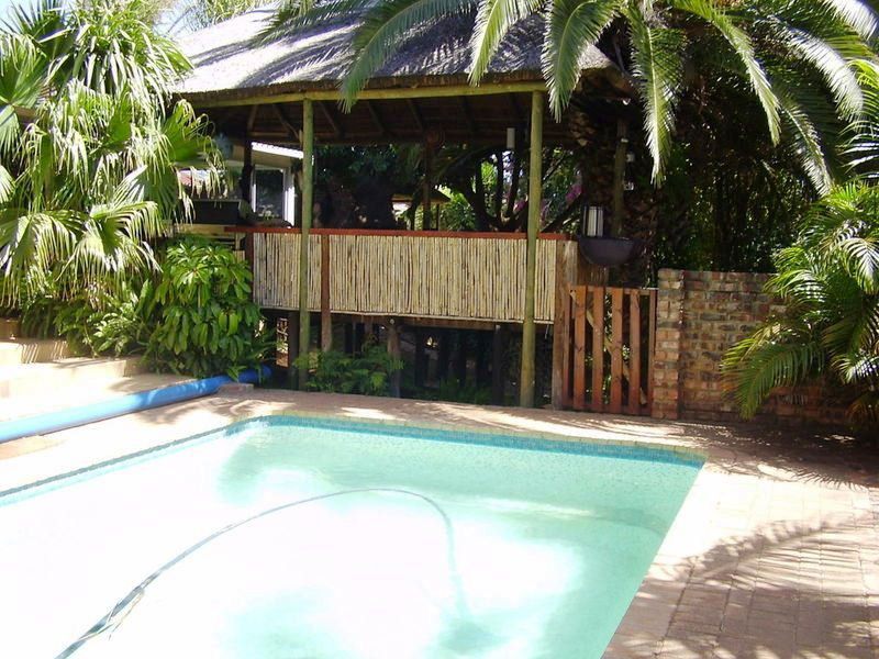 Putter S Inn Hankey Eastern Cape South Africa Palm Tree, Plant, Nature, Wood, Swimming Pool