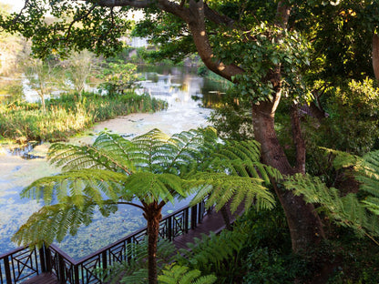 Quarry Lake Inn Selborne East London Eastern Cape South Africa Plant, Nature, Tree, Wood, Garden