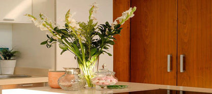 Quayside Waterfront Apartment Point Durban Kwazulu Natal South Africa Colorful, Bouquet Of Flowers, Flower, Plant, Nature