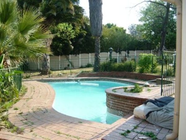 Queen Bed And Breakfast Kelvin Johannesburg Gauteng South Africa Palm Tree, Plant, Nature, Wood, Garden, Swimming Pool