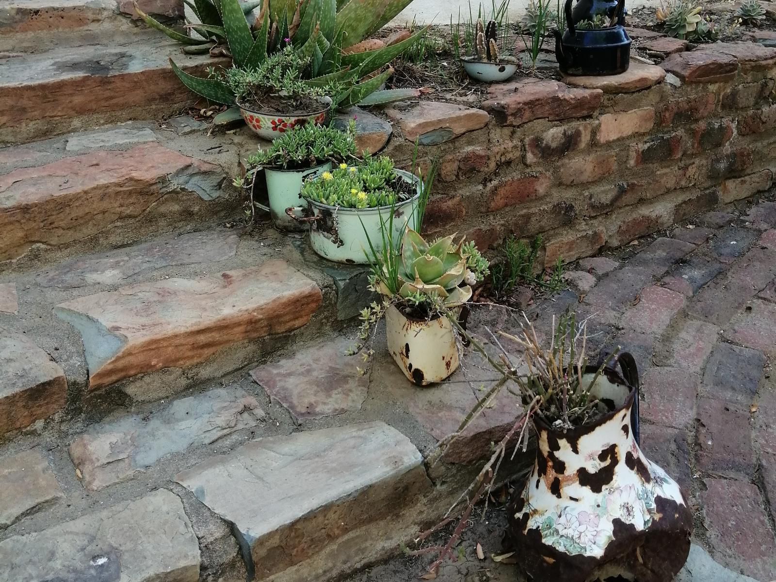 Quince And Cottage Nieu Bethesda Eastern Cape South Africa Cactus, Plant, Nature, Garden