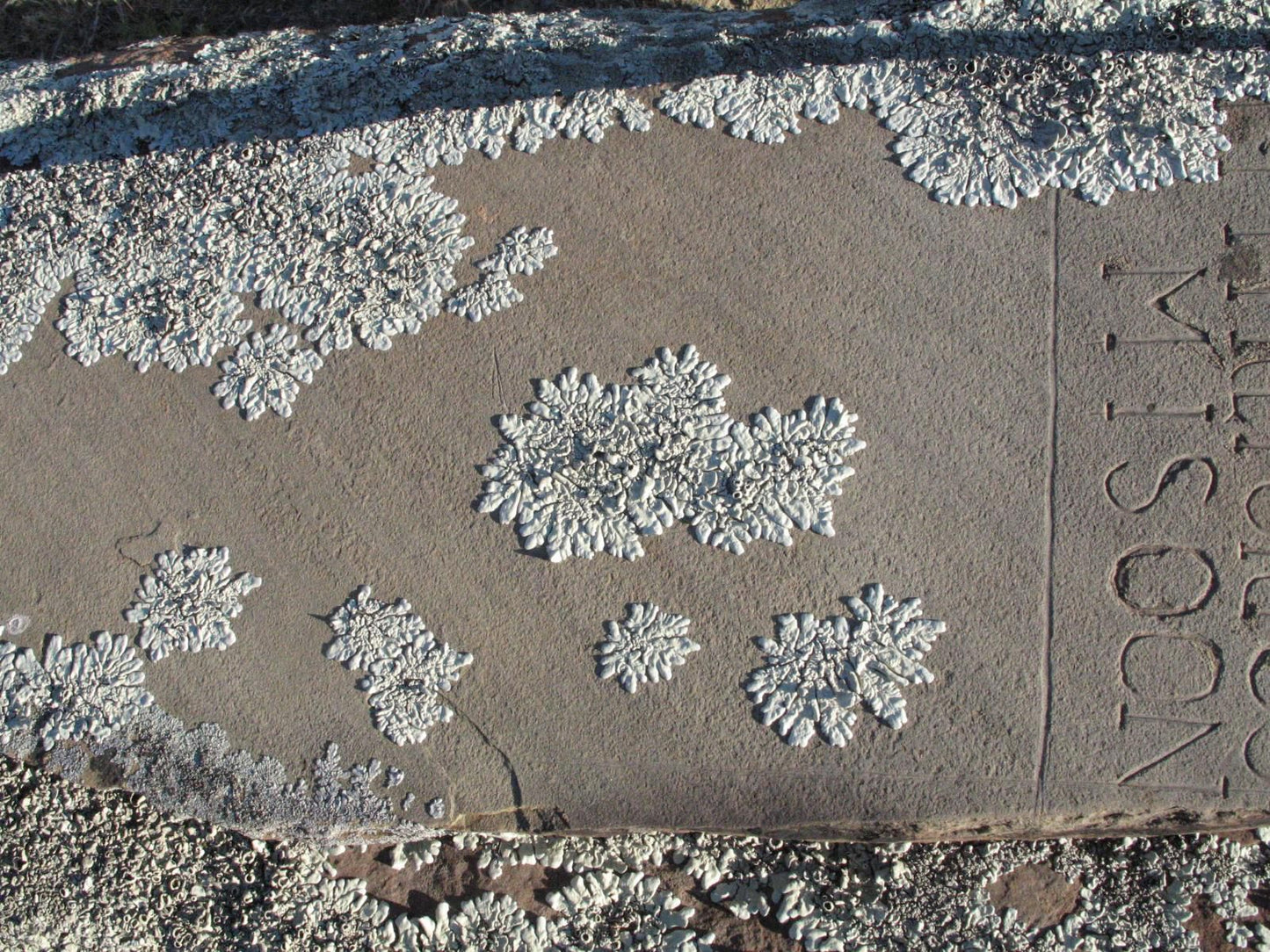 Quince And Cottage Nieu Bethesda Eastern Cape South Africa Unsaturated, Texture