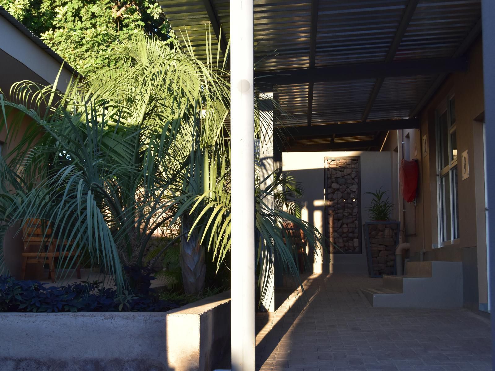 Quiver Inn Guesthouse, Palm Tree, Plant, Nature, Wood