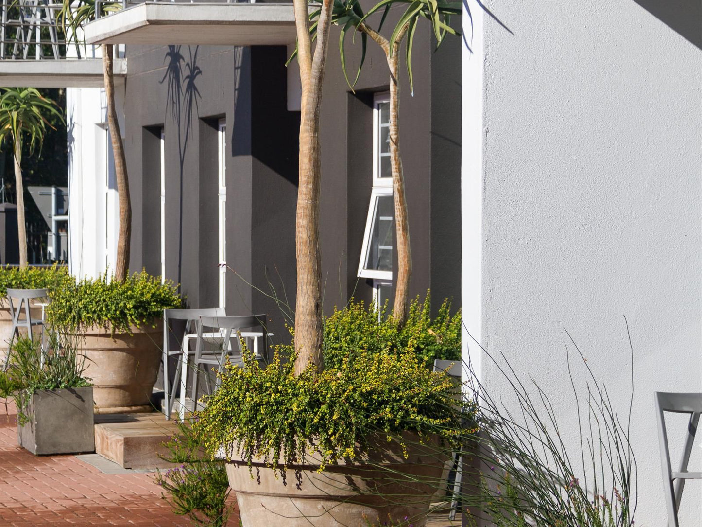 Quiver Tree Self Catering Apartments Stellenbosch Western Cape South Africa House, Building, Architecture