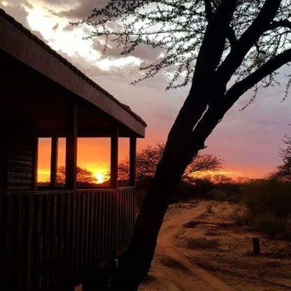 Raas En Rus Game Farm Dwaalboom Limpopo Province South Africa Desert, Nature, Sand, Framing, Sunset, Sky