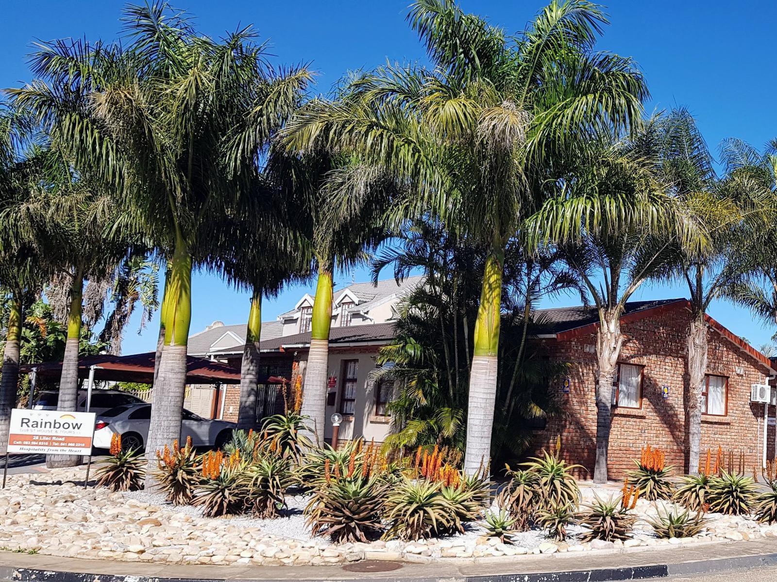 Rainbow Guest House & Tours, House, Building, Architecture, Palm Tree, Plant, Nature, Wood