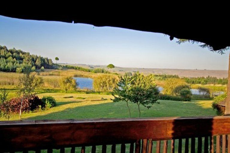 Rainbow Lodge Belfast Mpumalanga South Africa Field, Nature, Agriculture, Framing, Garden, Plant, Lowland