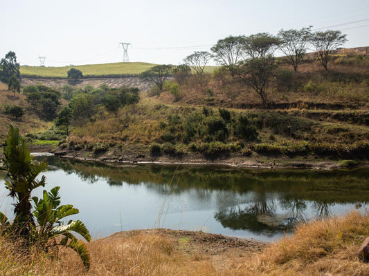 Falcon Luxury Dam Unit @ Rain Farm Game And Lodge