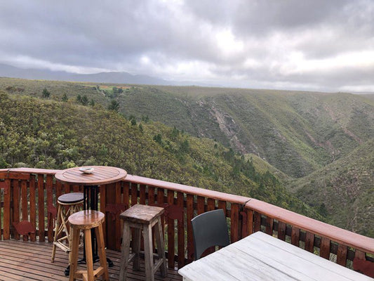 Rainforest Ridge Eco Lodge The Crags Western Cape South Africa Highland, Nature