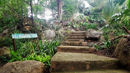 Raka Cottage Steiltes Nelspruit Mpumalanga South Africa Stairs, Architecture, Waterfall, Nature, Waters, Garden, Plant