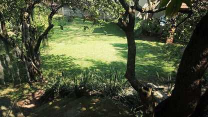 Raka Cottage Steiltes Nelspruit Mpumalanga South Africa Plant, Nature, Tree, Wood, Garden
