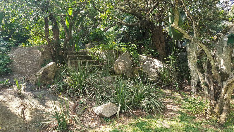 Raka Cottage Steiltes Nelspruit Mpumalanga South Africa Plant, Nature, Garden